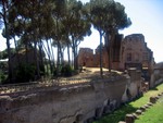 Ruins of Palatine Palace